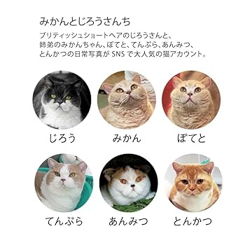 SnowMan　ねこ☆様　☆専用出品☆ 4711392162219_1_-2.jpg?v=